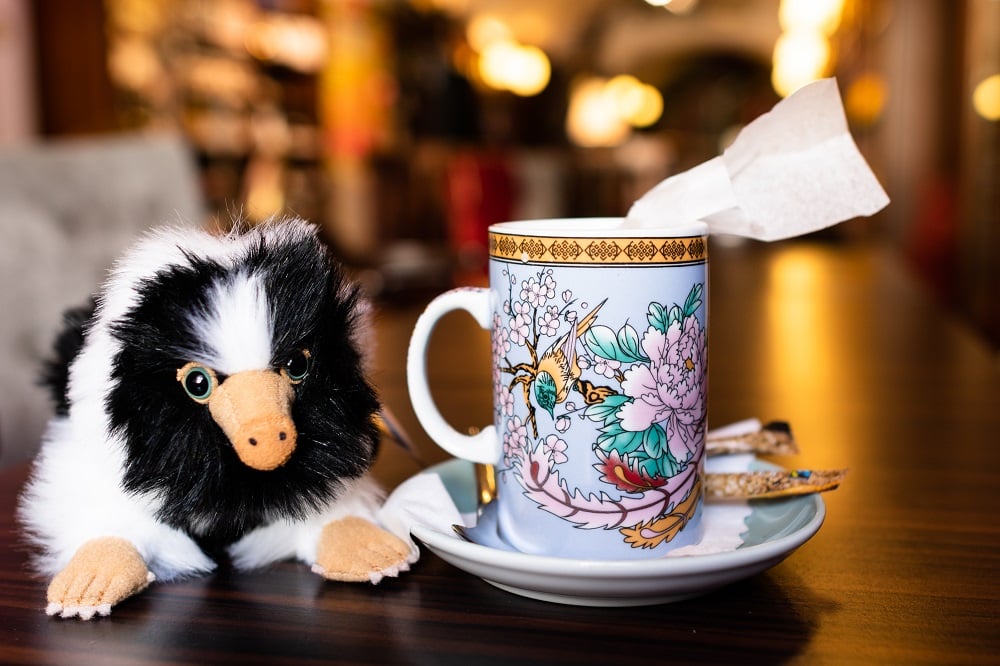 Teetasse und Kuscheltier im Phoenix Book Café in Klagenfurt 