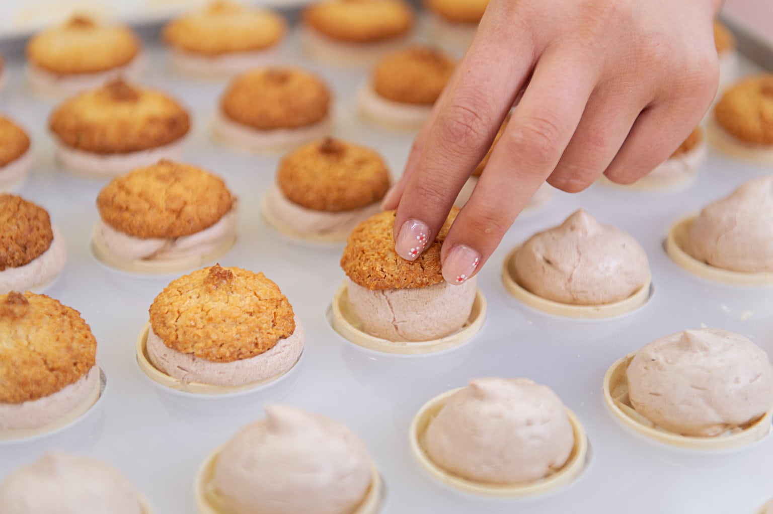 ein Kuchenblech mit Kokoskuppeln der Konditorei Kosta, eine Hand mit lackierten Fingernägeln greift nach einer Kokoskuppel und hebt diese hoch