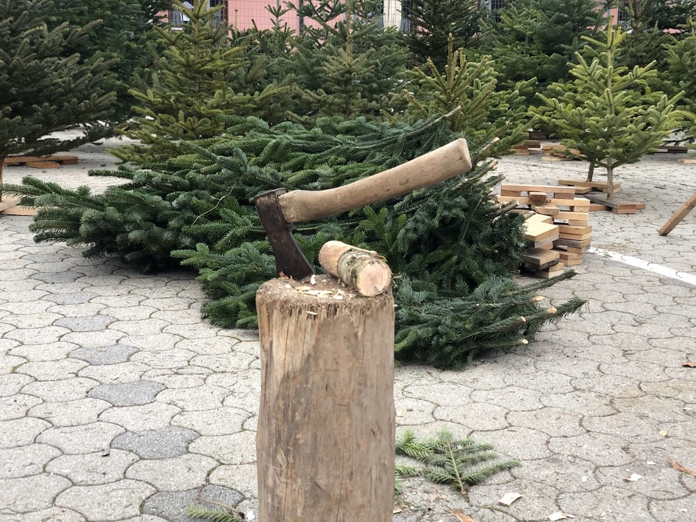 Christbaumhändler, Christbaumbauern, Christbaum Klagenfurt am Wörthersee, 9020, Christbaummarkt, Christbaum kaufen, Messegelände, Weihnachtsbaum, Josef Rotter