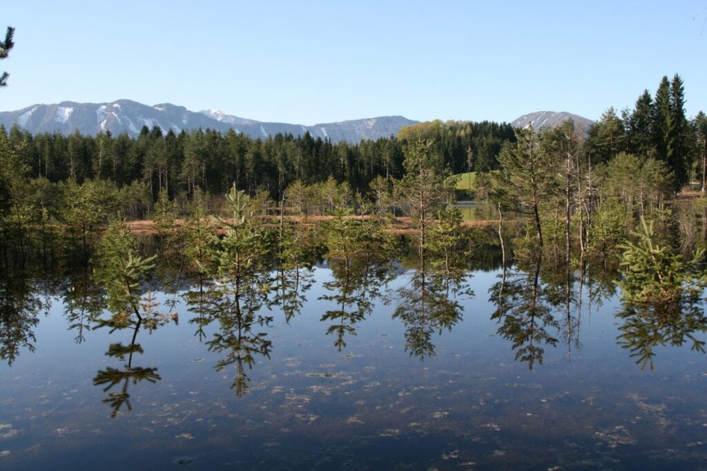 Höflein Moor in der Gemeinde Ebenthal