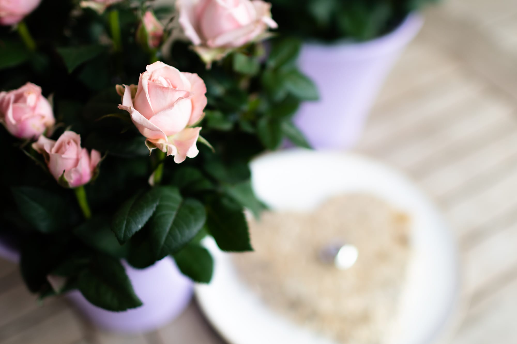 rosa Rosen und im Hintergrund ein Herzgesteck von Blumen Brommer in Klagenfurt, ein perfektes Valentinstagsgeschenk