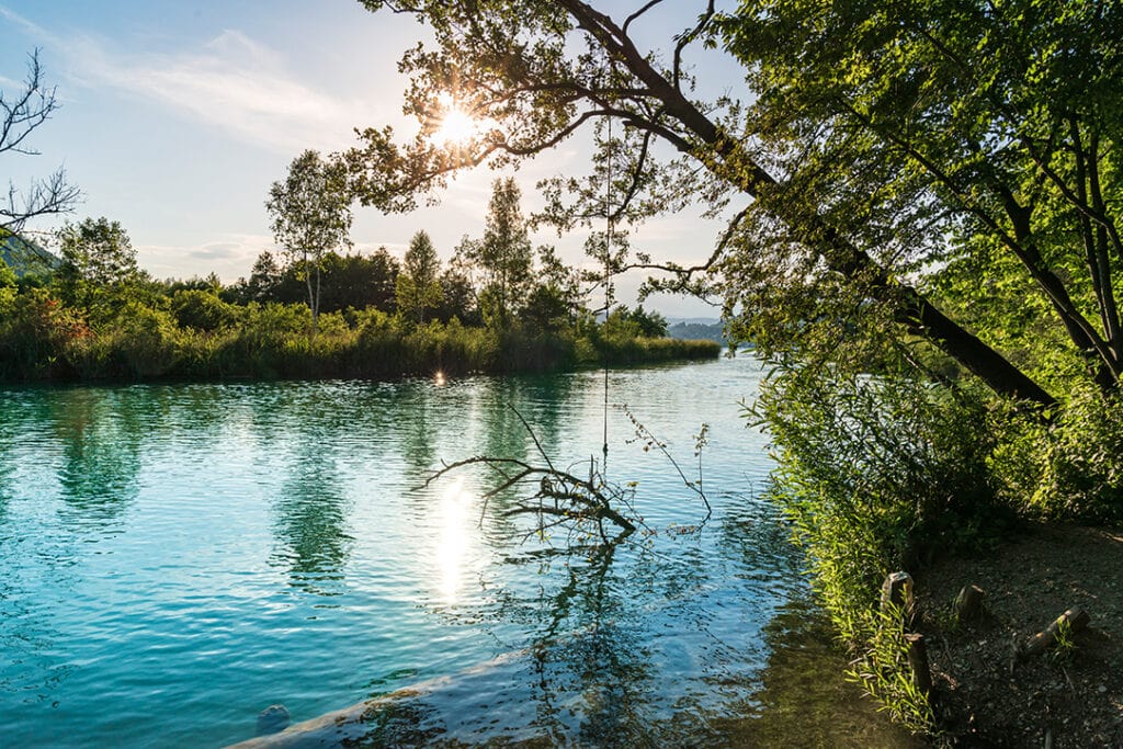 Klares Wasser und grüne Natur im Europaschutzgebiet Lendspitz-Maiernigg