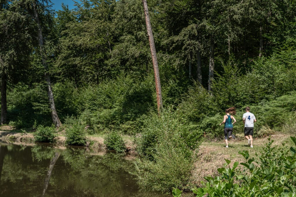 2 Läufer beim Trailrunning im Wald im Sommer 