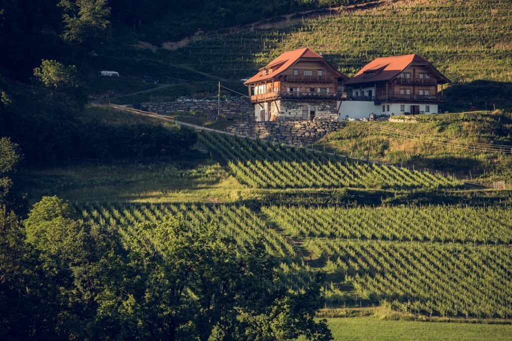 Weingut Karnburg Luftbild