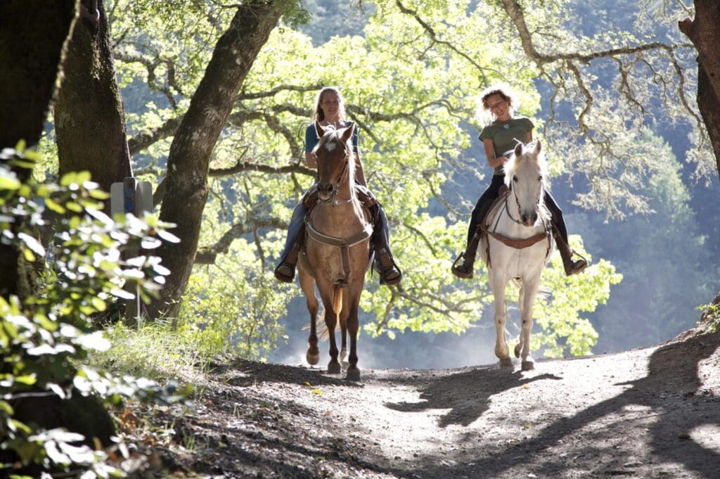 Reiten rund um Klagenfurt