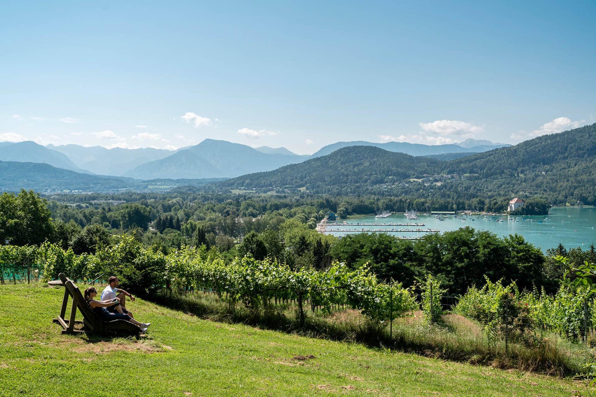 Seewiese mit Blick auf Weingarten und Wörthersee