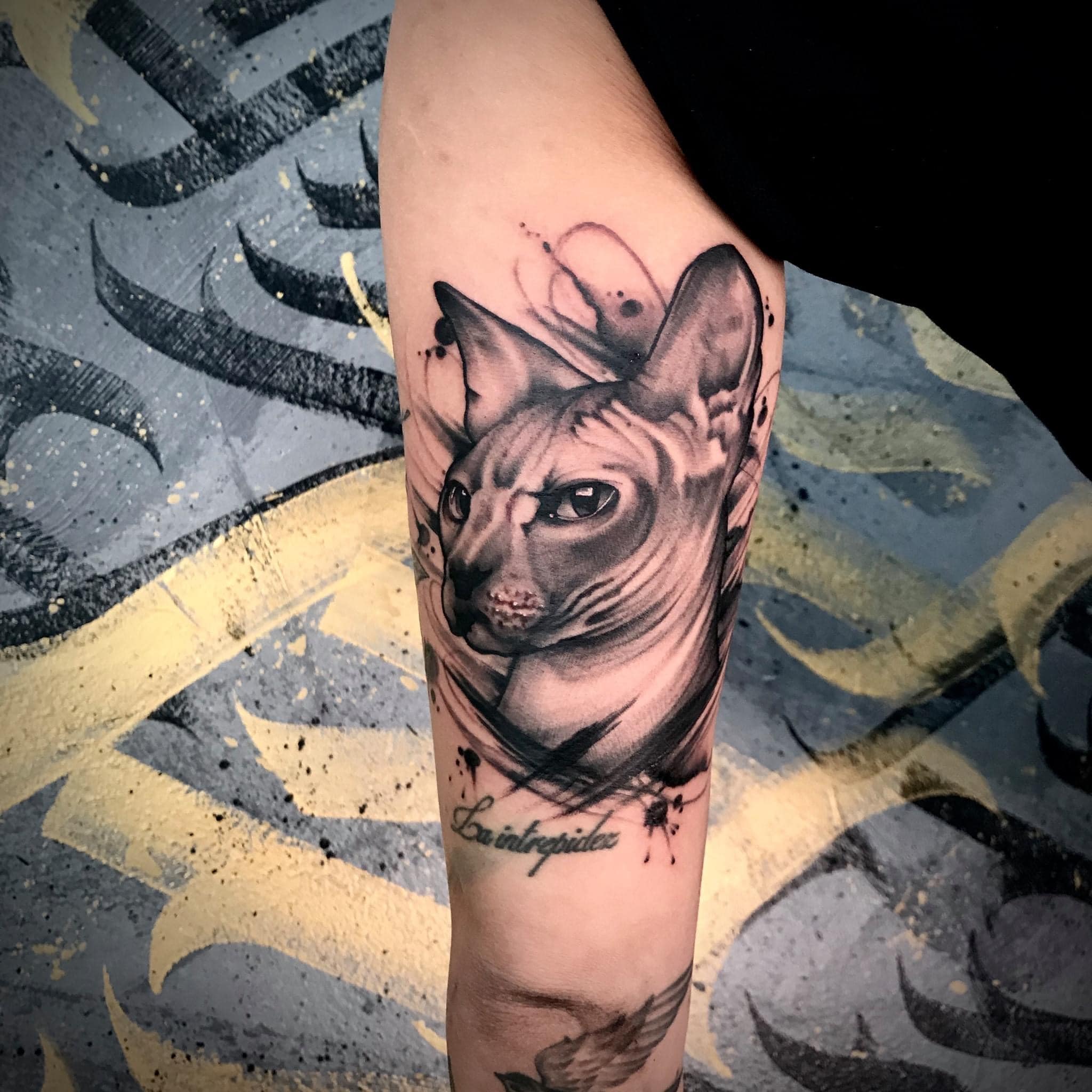 Katze, schwarz, Tom Kropfitsch, Tattoo, Tattoostudio, tätowieren, Tattooarist, 9020 Klagenfurt am Wörthersee