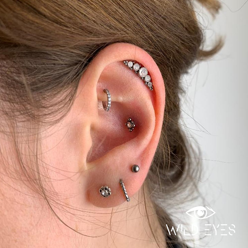 Ohrpiercing, Helix, Ohrring, Rook, Conch, Piercing, Piercingstudio 9020 Klagenfurt am Wörthersee, Wild Eyes