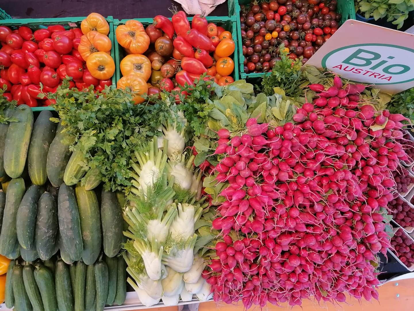 Bio einkaufen bei Erdengold am Benediktinermarkt. Es gibt verschiedenes Bio-Gemüse wie Paprika, Zucchini, Jungzwiebel, Radieschen, Salat und Tomaten, alles frisch und direkt aus Klagenfurt am Wörthersee