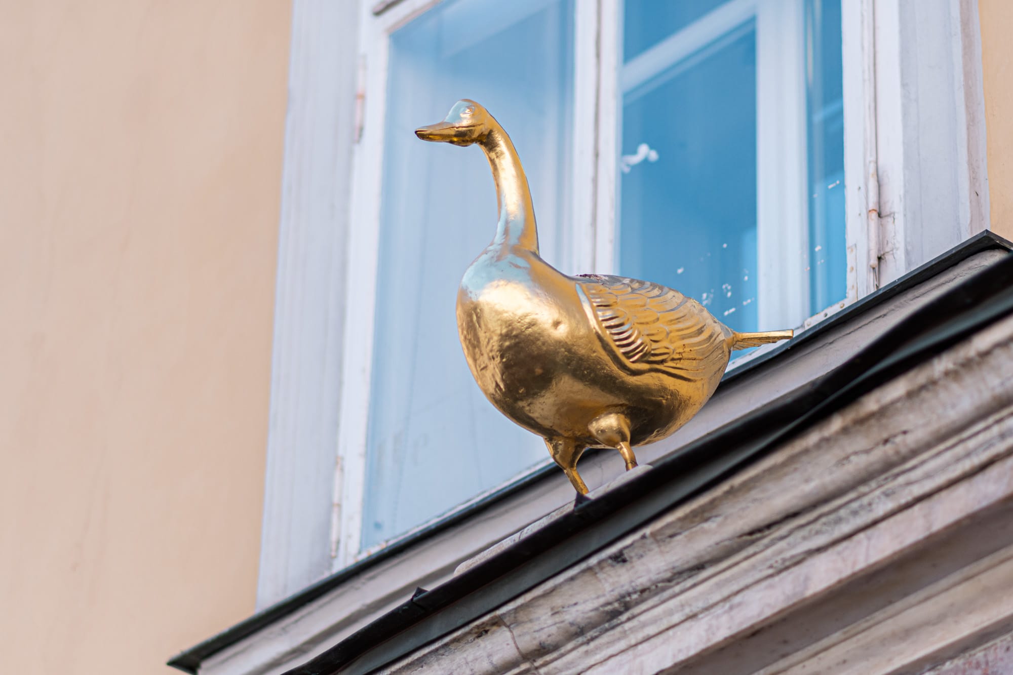 Goldene Gans, Alter Platz, Tiere in der Stadt, 9020 Klagenfurt am Wörthersee, Sehenswürdigkeiten