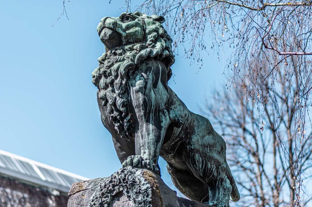 Wilde Tiere in der Landeshauptstadt Klagenfurt