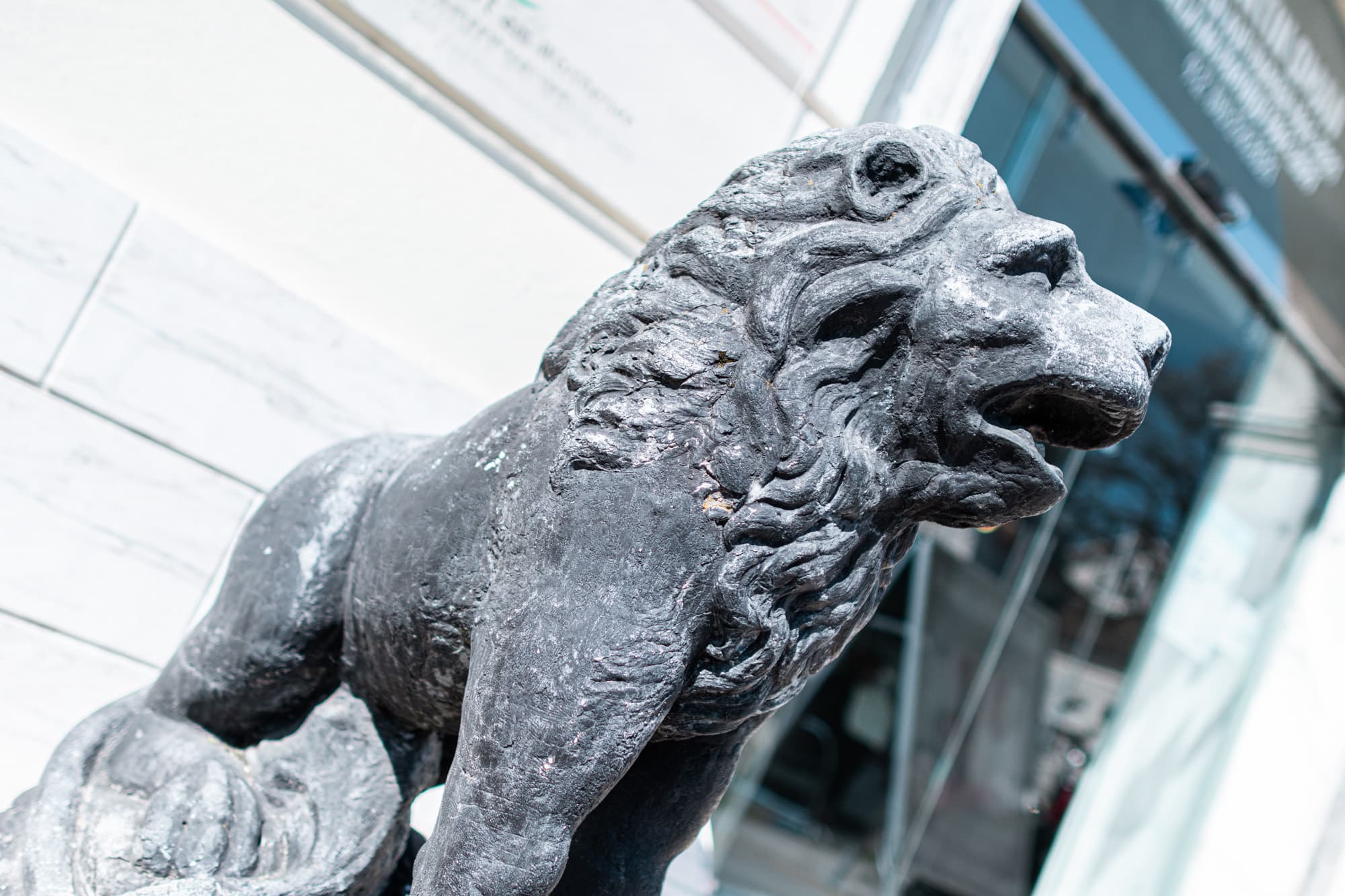 Steinlöwe, Stadthaus, Tiere in der Stadt, 9020 Klagenfurt am Wörthersee, Sehenswürdigkeiten