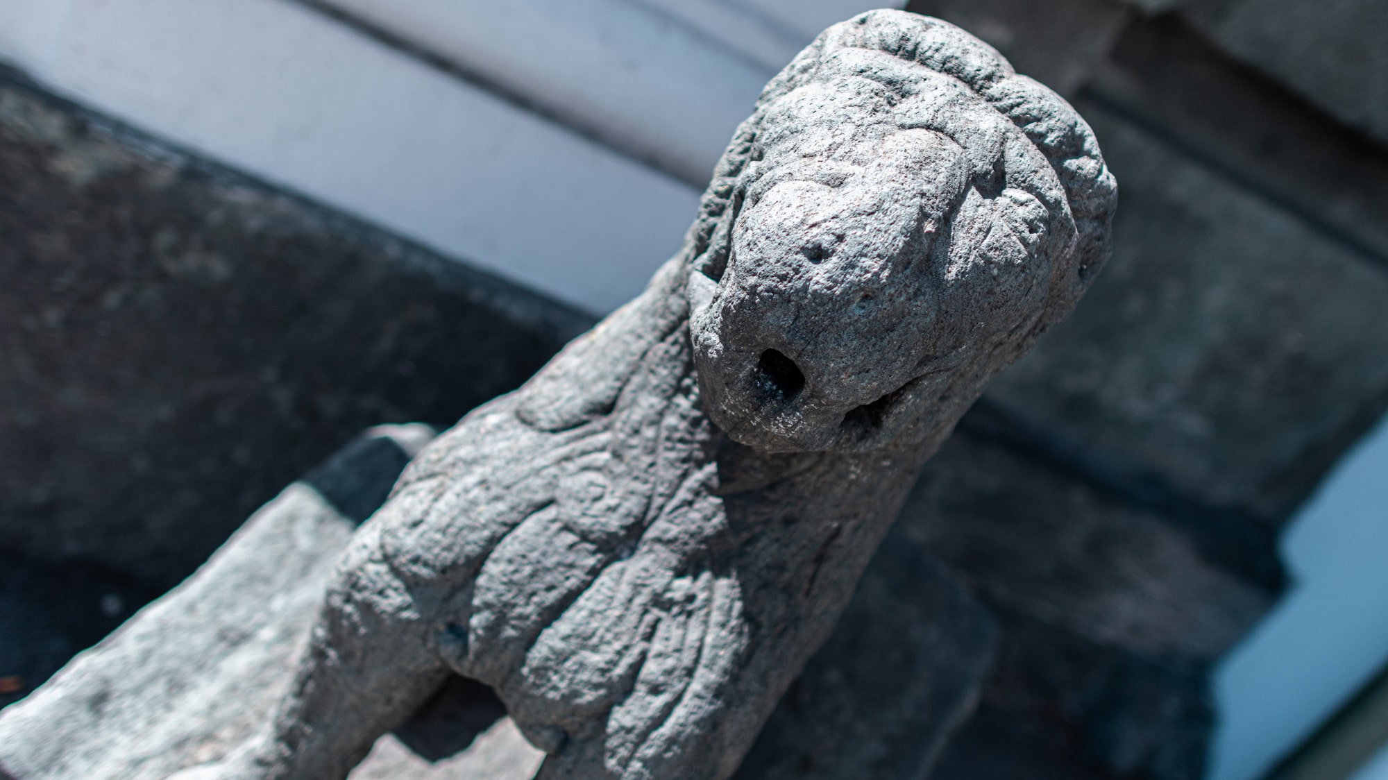 Steinlöwe, Stadtmauer, Stauderplatz, Tiere in der Stadt, 9020 Klagenfurt am Wörthersee, Sehenswürdigkeiten