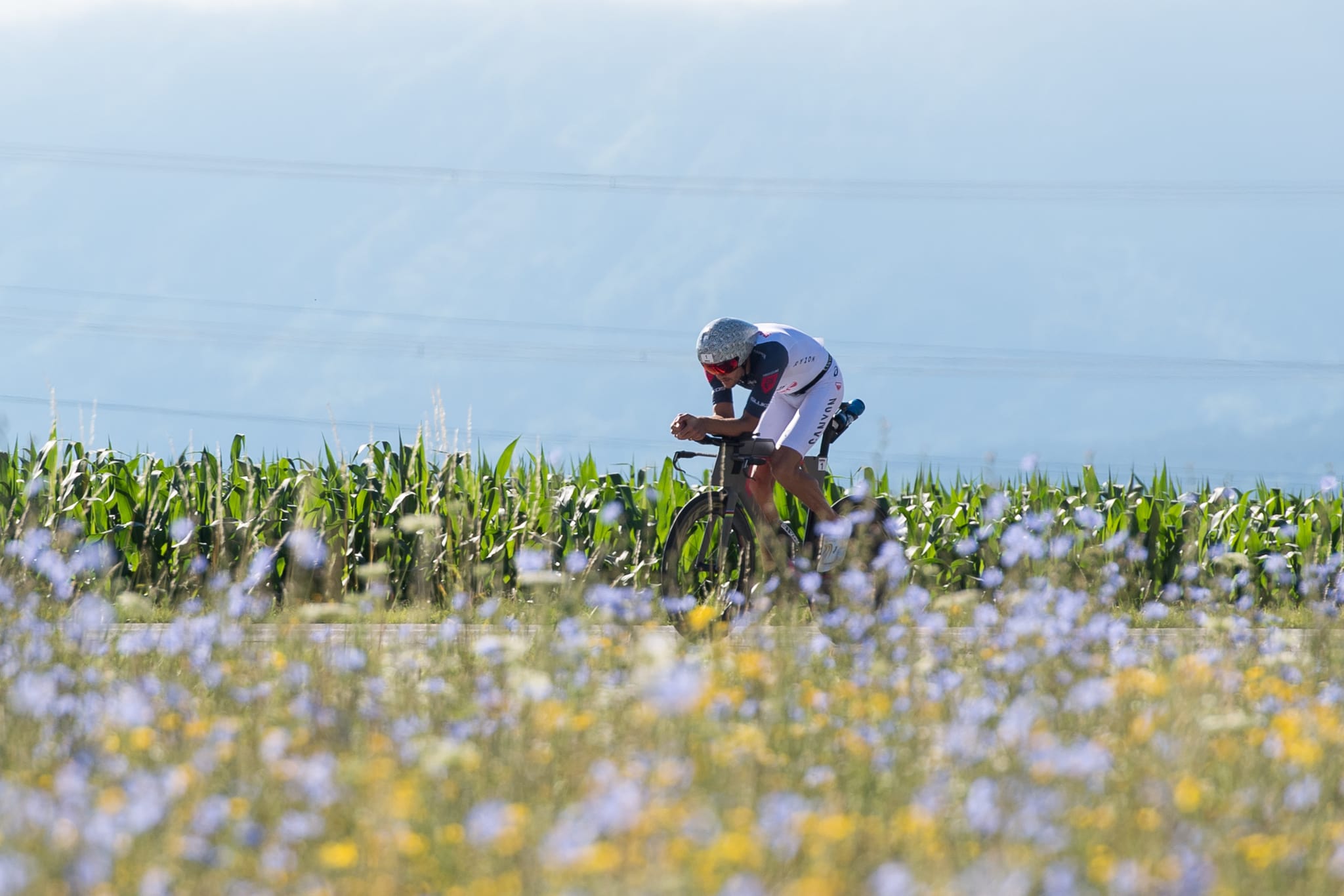 Radrennfahrer fährt Strecke umgeben von Blumen und Maisfeldern
