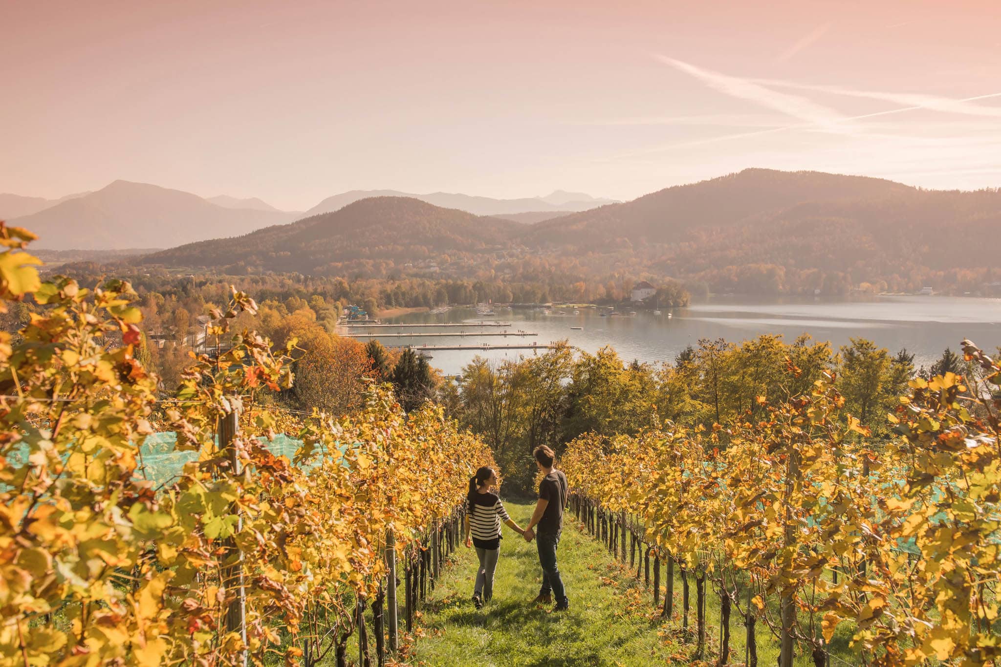 Seewiese im Herbst mit Karawanken im Hintergrund