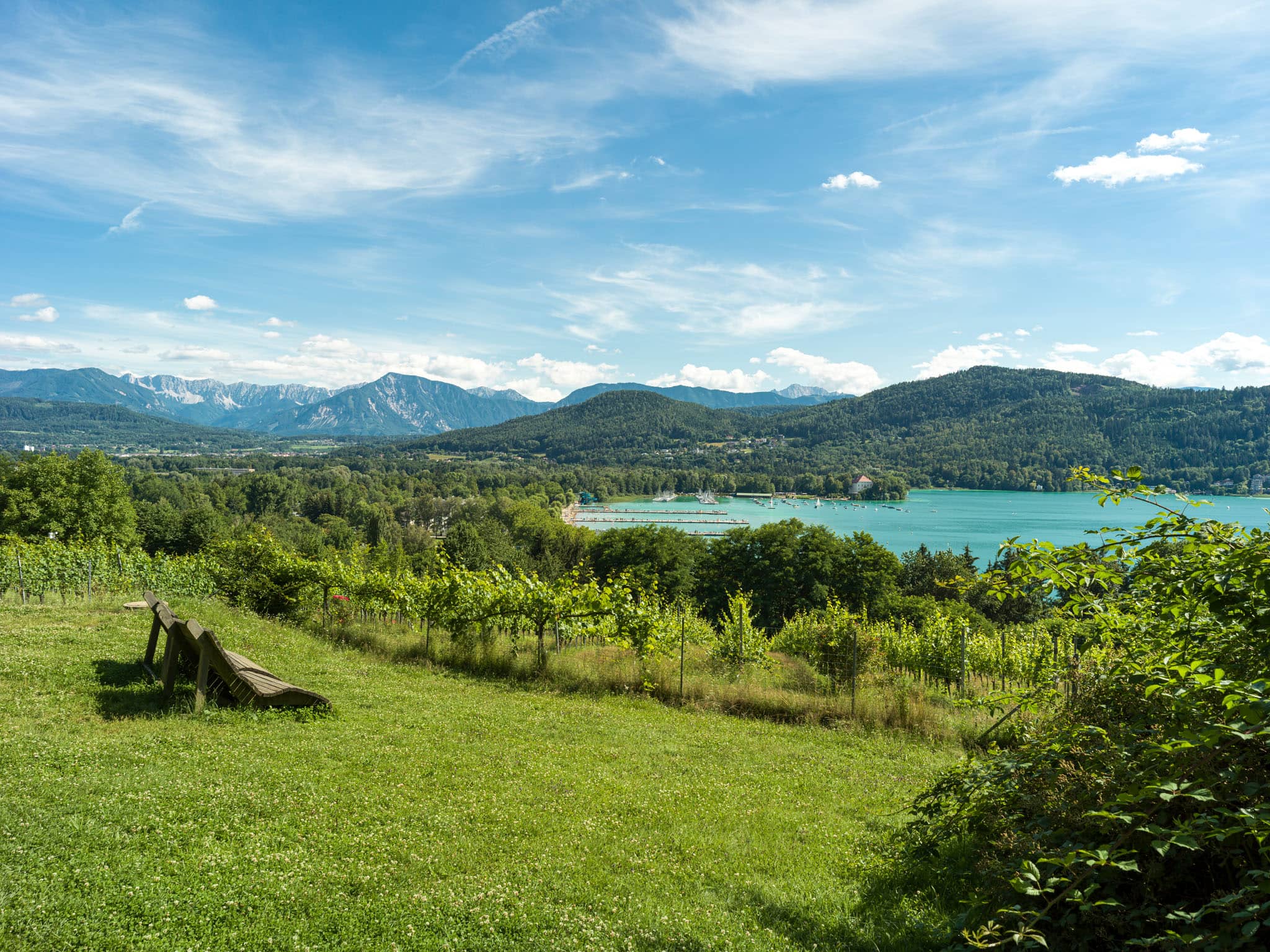 Seewiese bei Sonnenschein