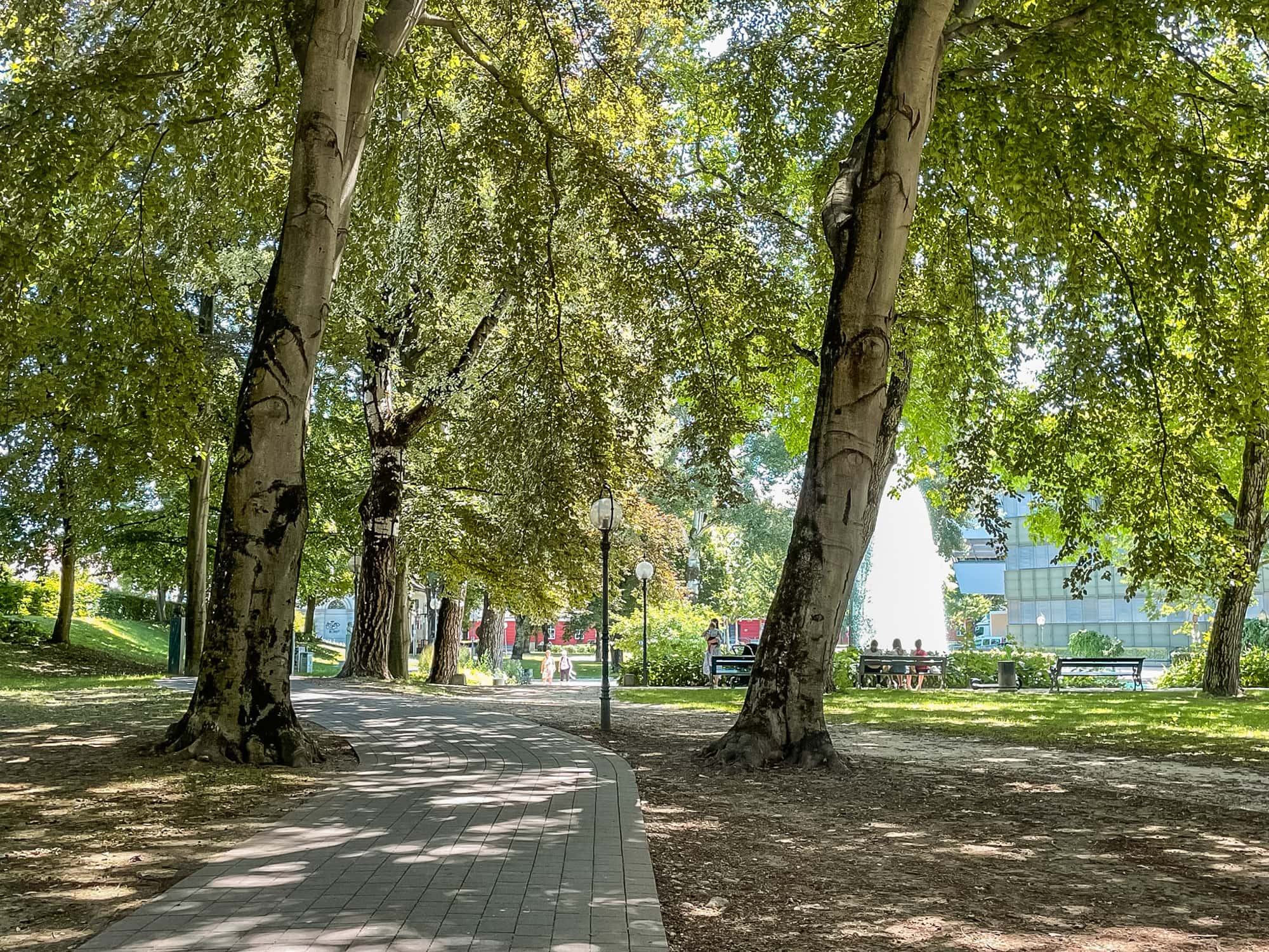 Herrlicher Schatten unter den großen Bäumen im Göthepark