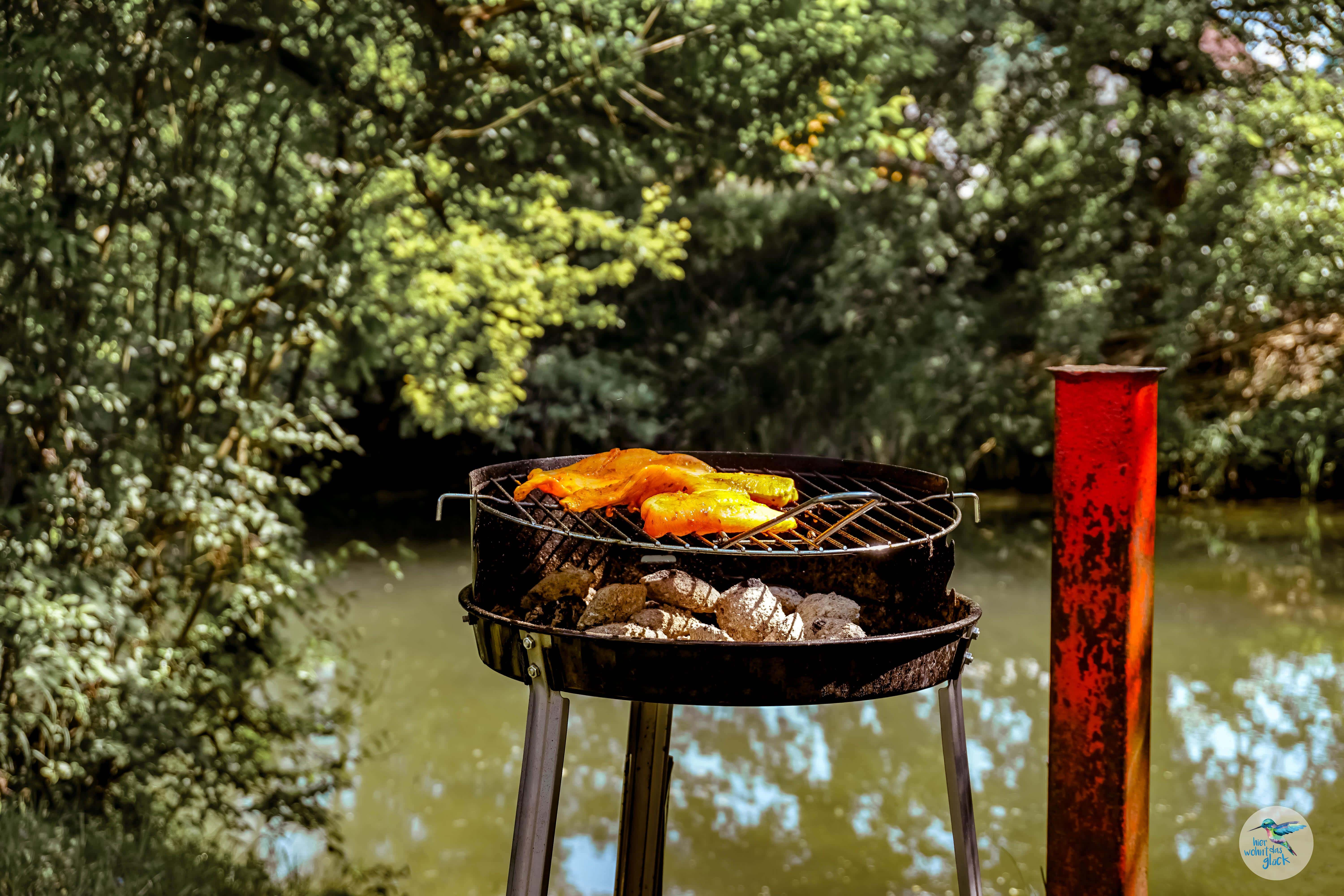 öffentlicher Grillplatz am Wasser in Klagenfurt mit einem befüllten Grillrost, im Hintergrund die Sattnitz, empfohlen von den Bloggern Marie Theres und Andreas von hierwohntdasglück