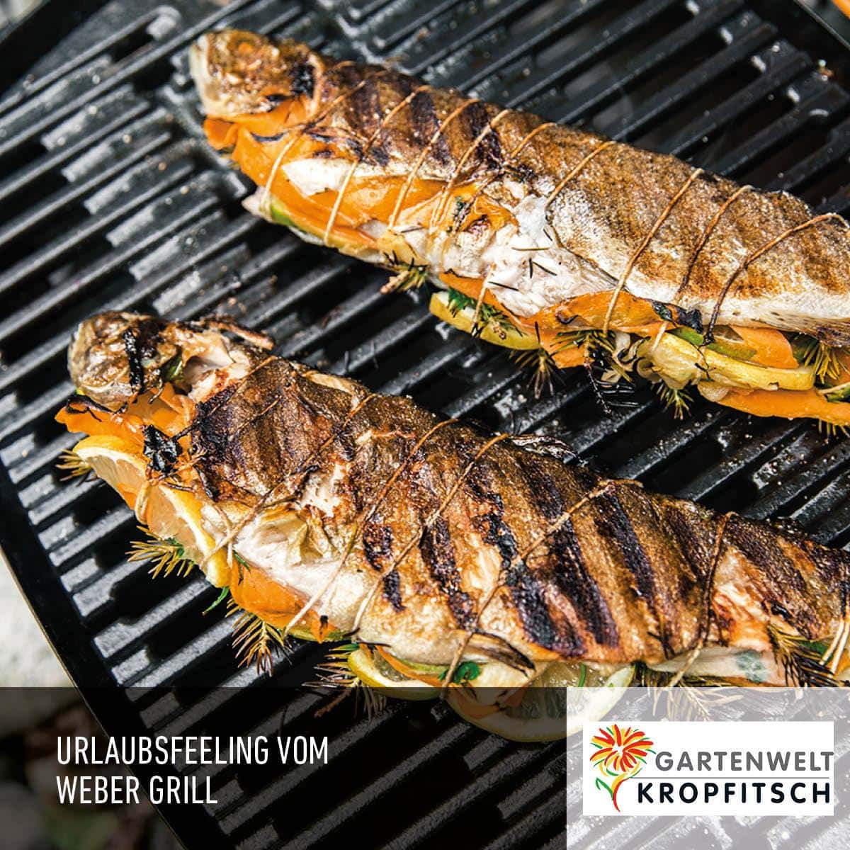 zwei Grillfische mit Zitronenscheiben, Paprika und Kräutern eingewickelt liegen auf einem Webergrill der Gartenwelt Kropfitsch, dabei steht Urlaubsfeeling vom Webergrill