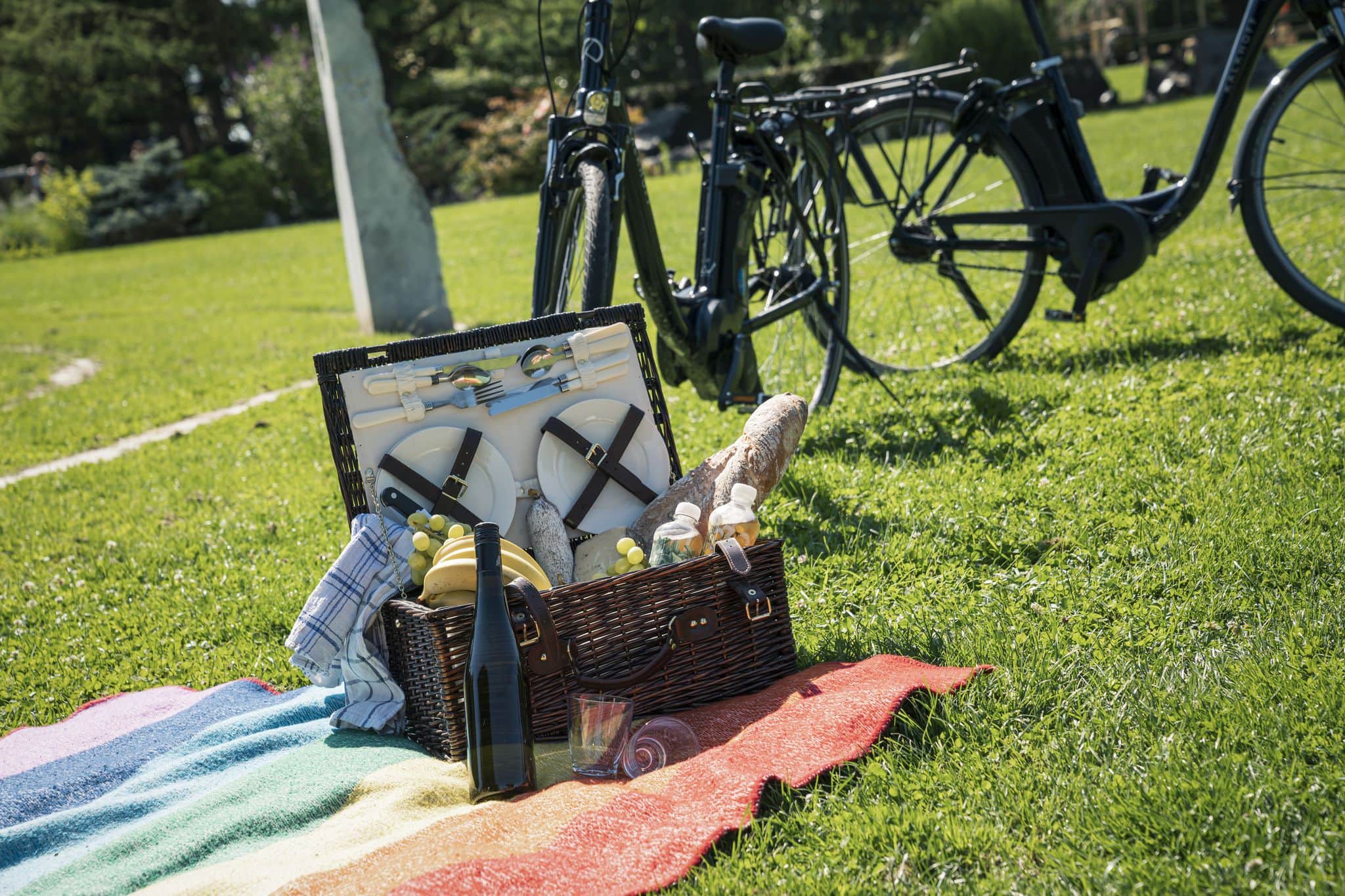 gut gefüllter Picknick Korb für ein Picknick im Park in Klagenfurt 