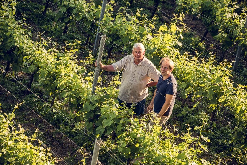 Georg Lexer und Sem Kegley, die zwei Winzer des Weinguts Karnburg inspizieren die Weinreben 