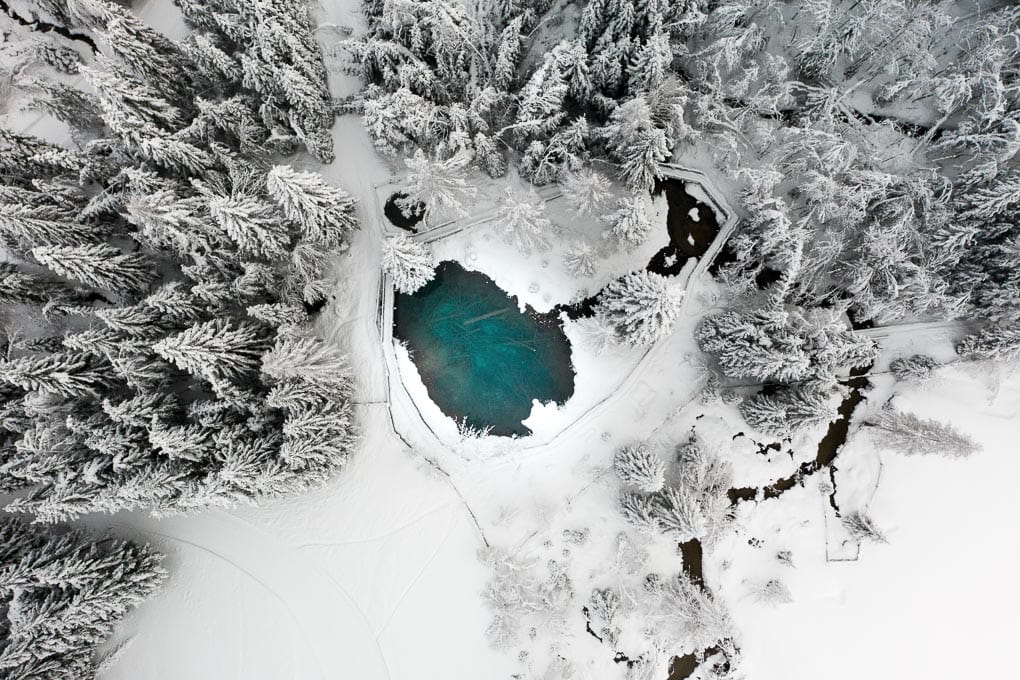 Vogelperspektive auf das Meerauge umgeben von einer verschneiten winterlichen Waldlandschaft 