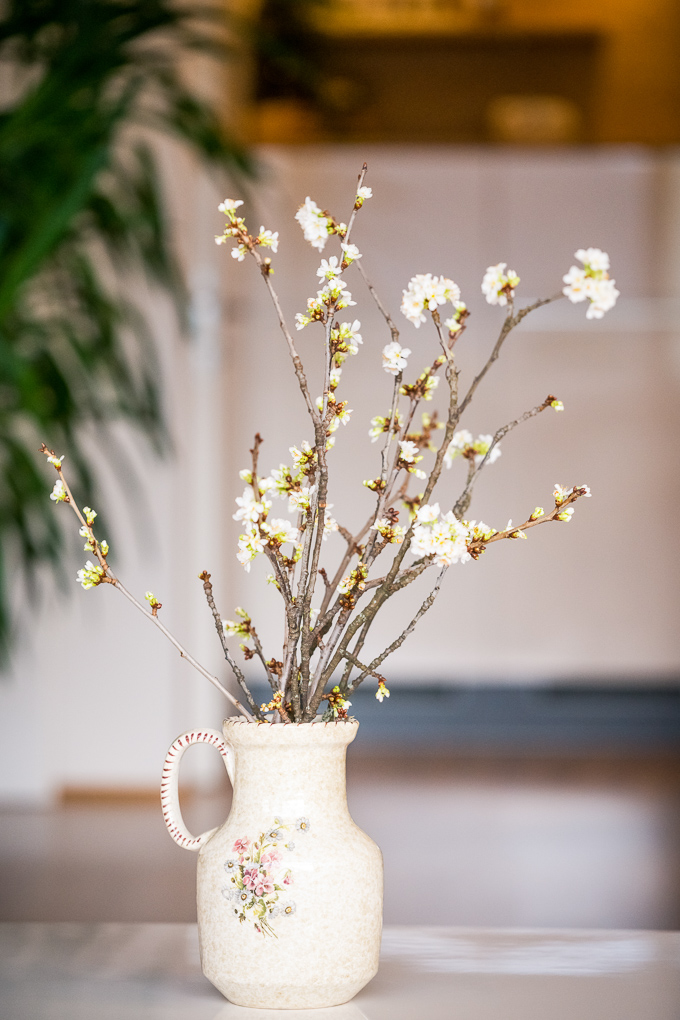 Barbaratag Zweige vom Obstbaum mit Blüten in Vase