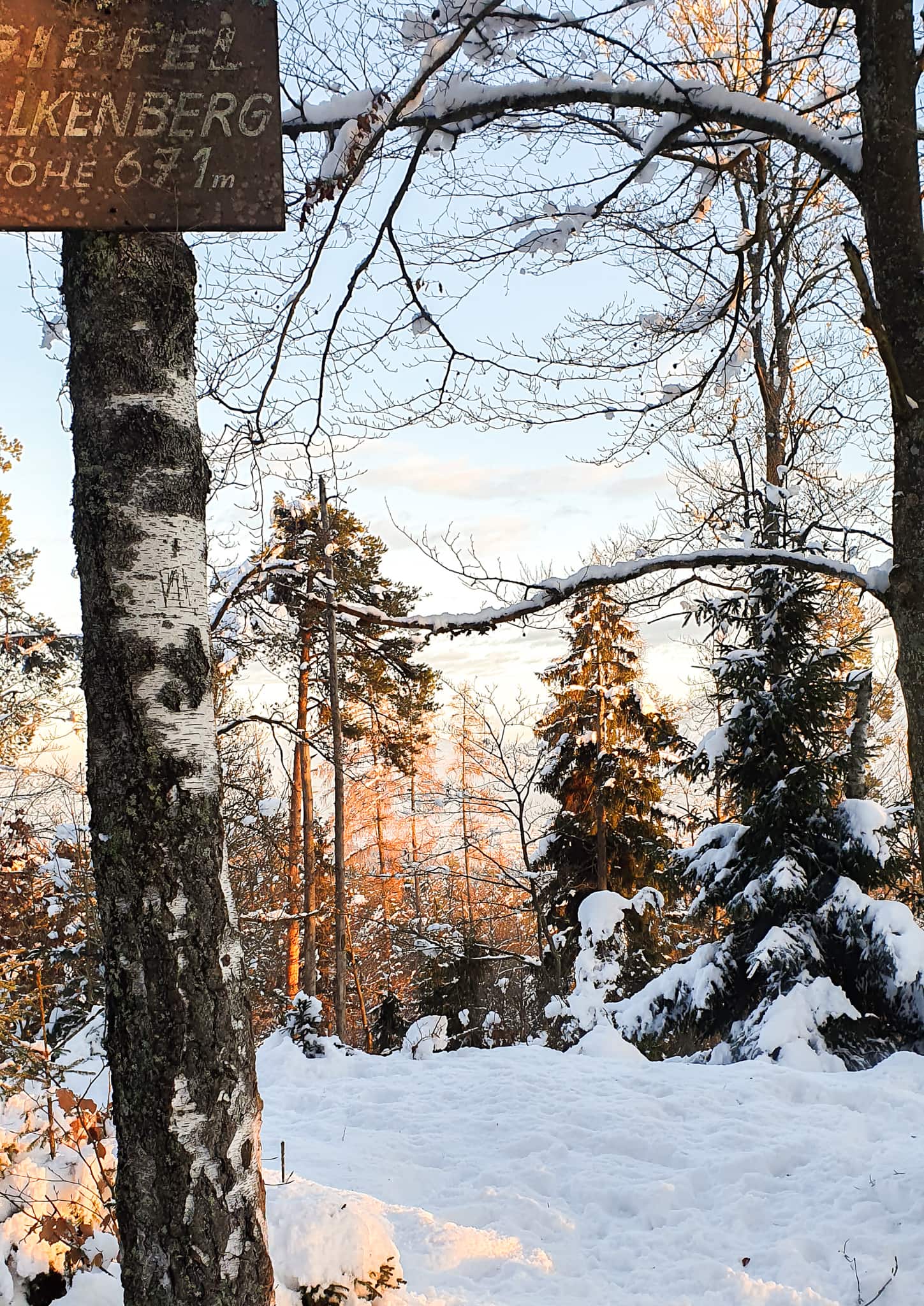 Wanderschild an einem Baum am verschneiten Falkenberg in Kärnten
