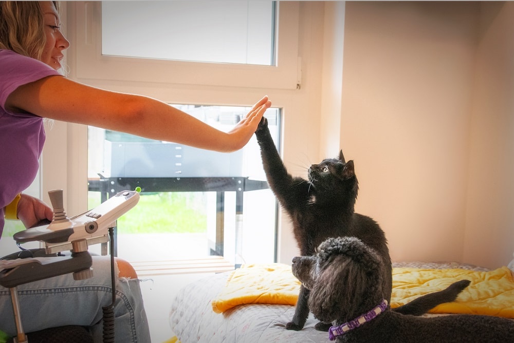 die Tiertrainerin Laura Gentile in einer Trainingseinheit mit einer schwarzen Katze, sie machen highfive, daneben steht ein schwarzer Pudel und sieht zu