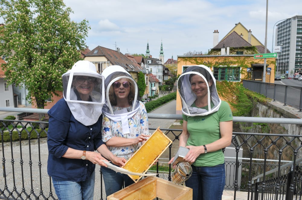 Im Honigtopf - Imkern mit den Stadtbienen Klagenfurt