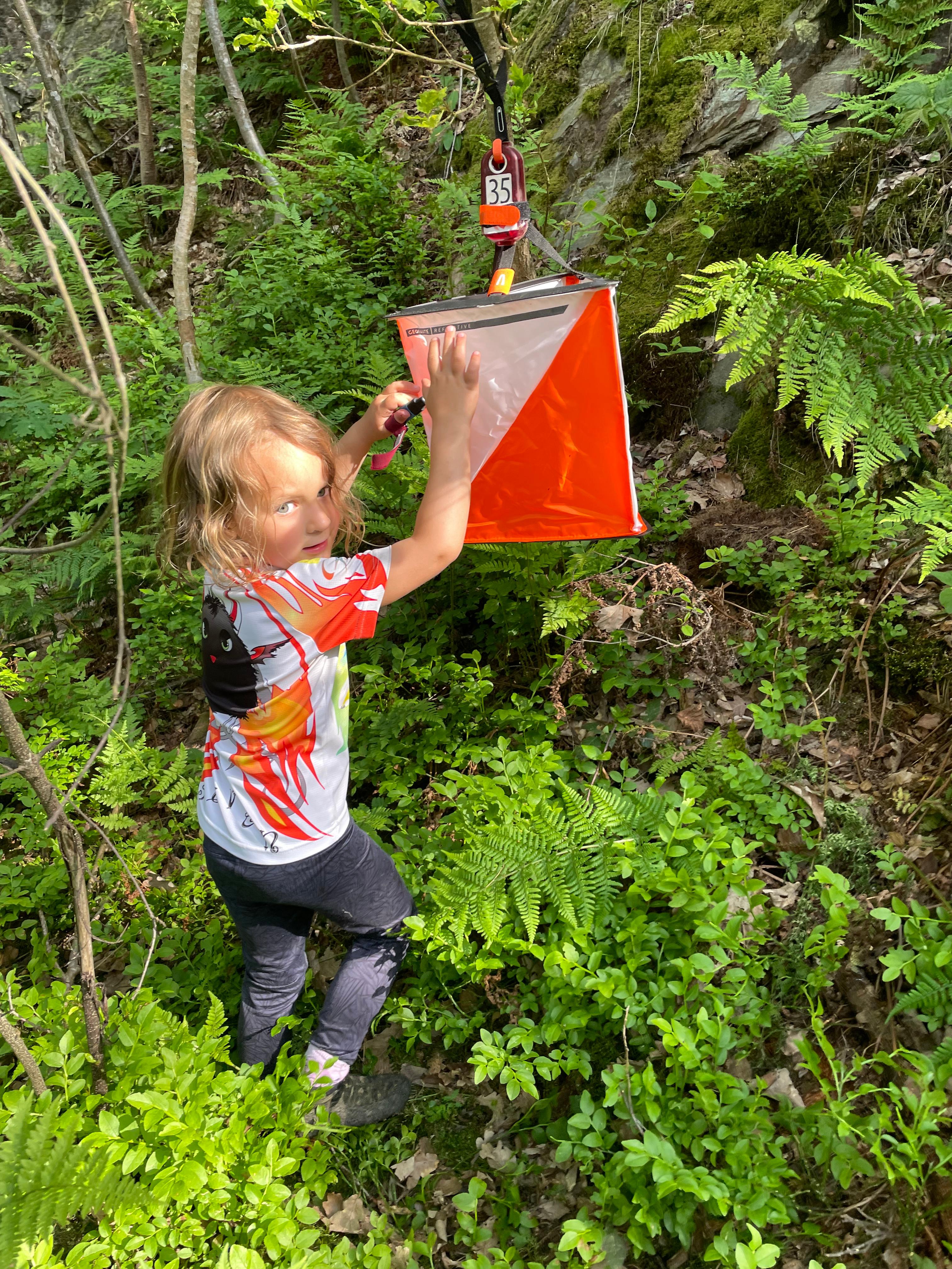 Kinder im Wald beim Orientierungslauf der Sportunion Kärnten